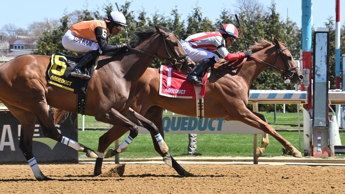 Donor Advised Stands Out In Turnback The Alarm 