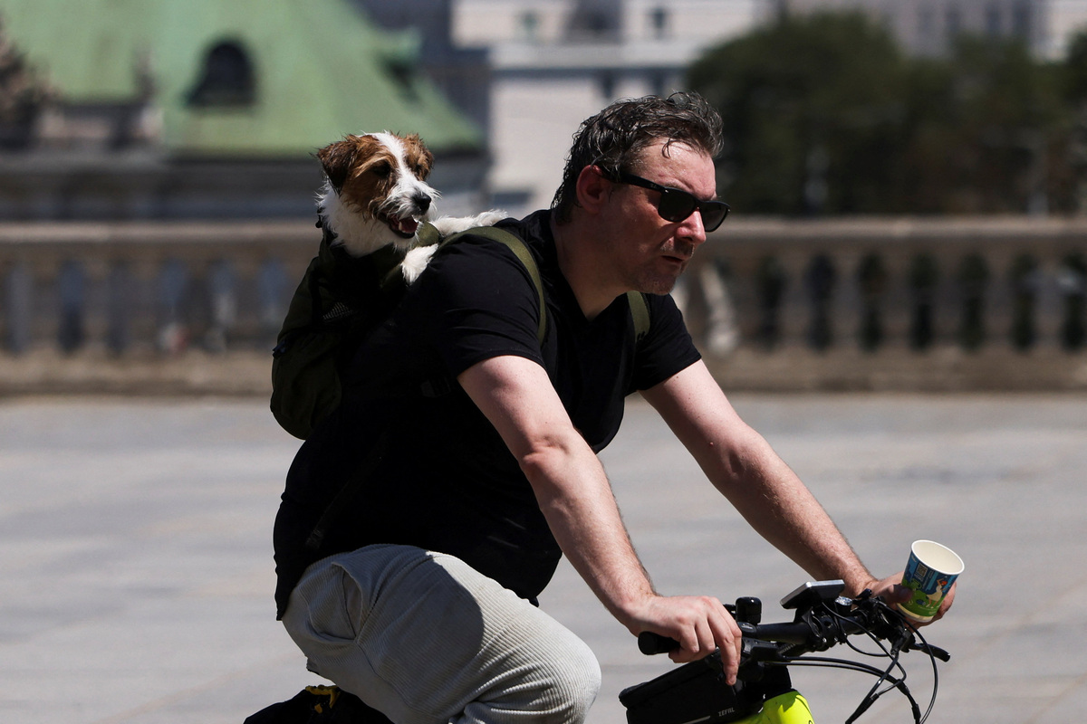 A man rides a bicycle with a dog during a heatwave, in Warsaw, Poland, June 28, 2026. REUTERS/Kuba Stezycki