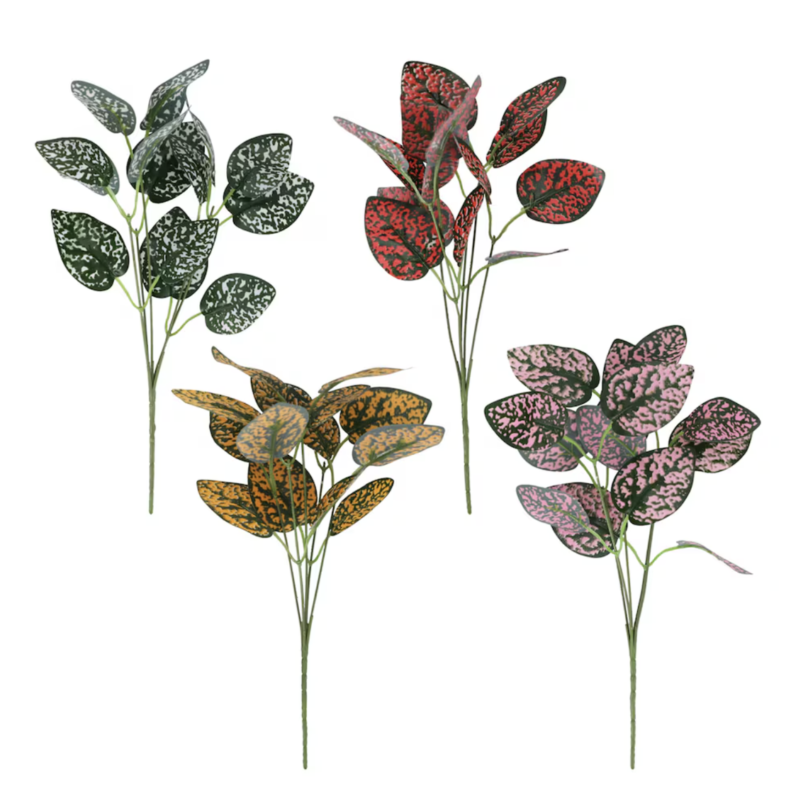 Courtesy of Dollar Tree