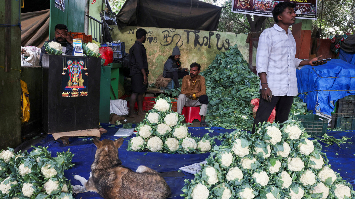 FILE PHOTO: Vendors sit at a vegetable stall selling cauliflowers at a market in Bengaluru, India, January 12, 2026. REUTERS/Priyanshu Singh/File Photo