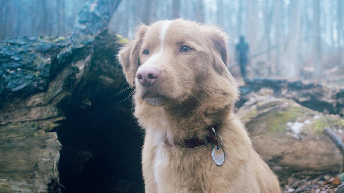 3 Great Horror Movies to Watch on Hulu and HBO Max in April 2026 