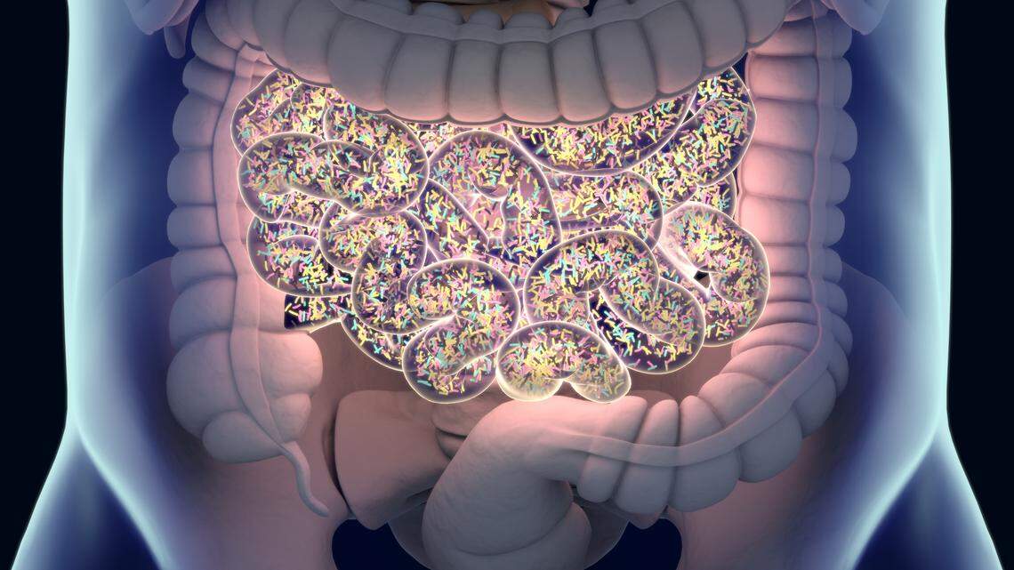 Get to know your microbiome: It can improve gut health and more