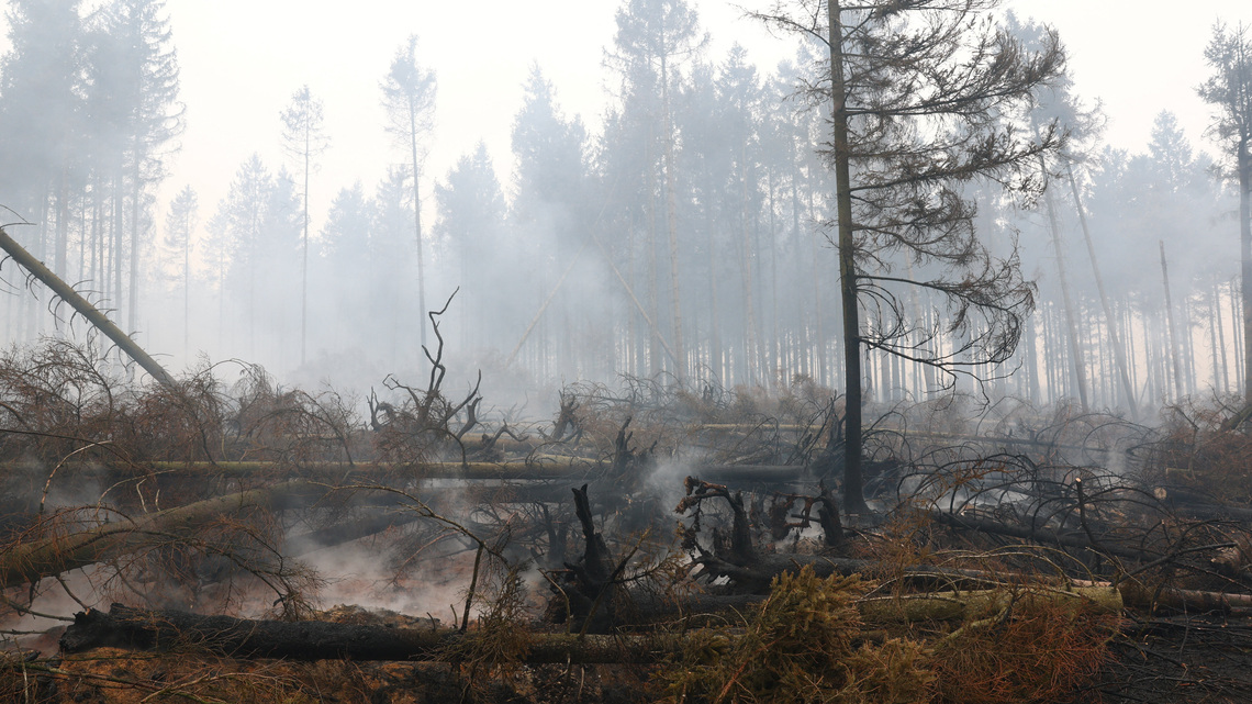 Belgium's biggest wildfire on record heads towards Germany