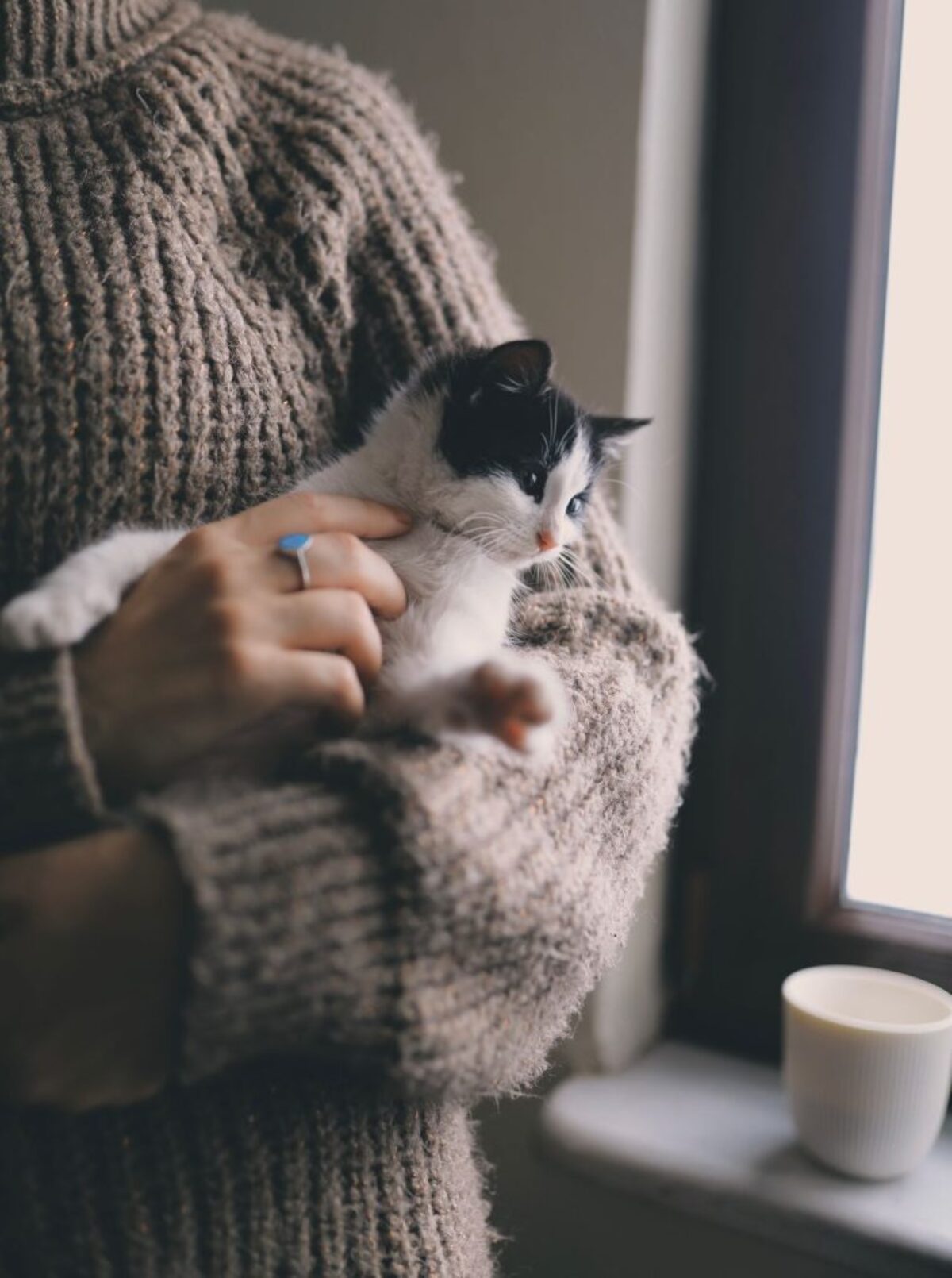  (Photo by Nida Kurt via Pexels) 