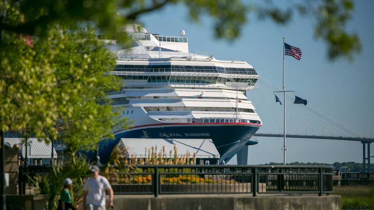 A Carnival cruise ship is docked in port and seen through trees. 