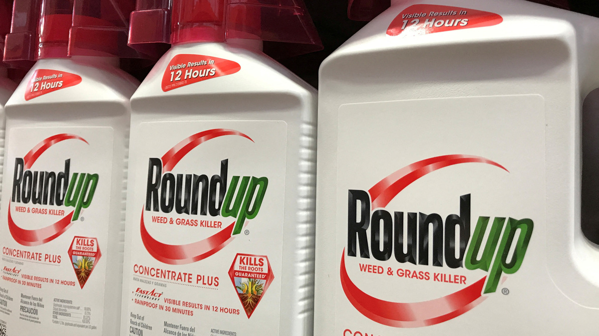 FILE PHOTO: Monsanto Co's Roundup is shown for sale in Encinitas, California, U.S., June 26, 2017.  REUTERS/Mike Blake/File Photo