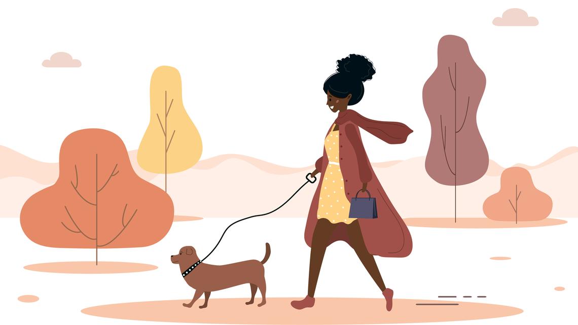 Keeping your dog safe during tick season