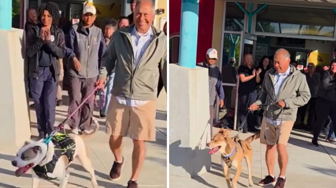 See Shelter's Longest Resident Dog Reaction to Being Adopted After 831 Days 