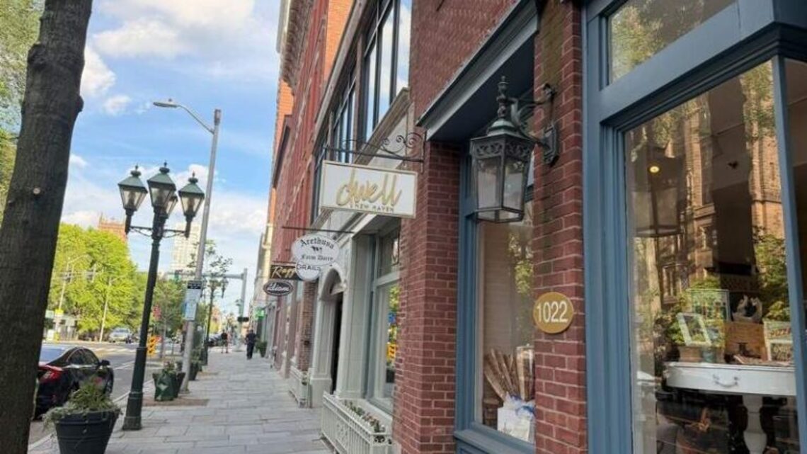8 Budget Friendly Things to Do in New Haven, Connecticut 