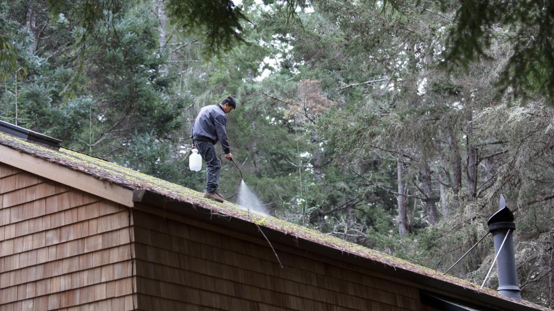 Think Pressure Washing Your Roof Is Safe? Think Again 
