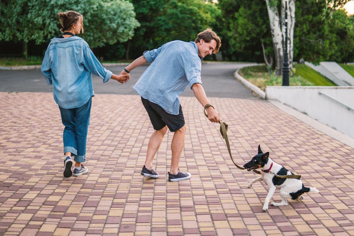  A stock image of a couple holding hands and walking the dog on leash. 