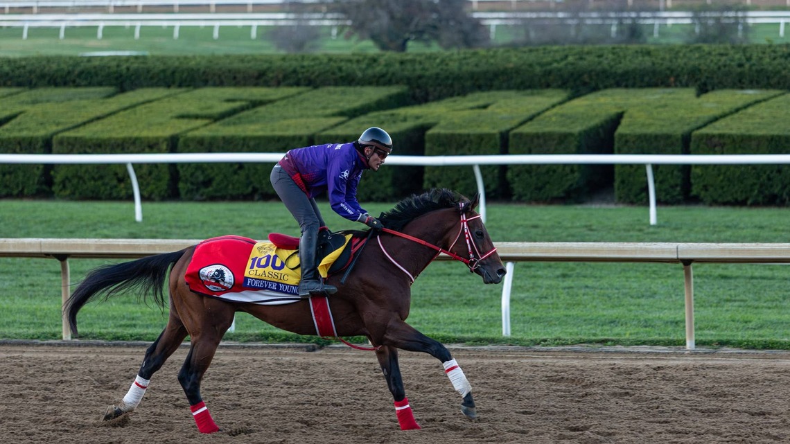 Weekend Lineup Presented By Sky Racing World: Can Forever Young Go Back-To-Back In The Breeders' Cup Classic? 