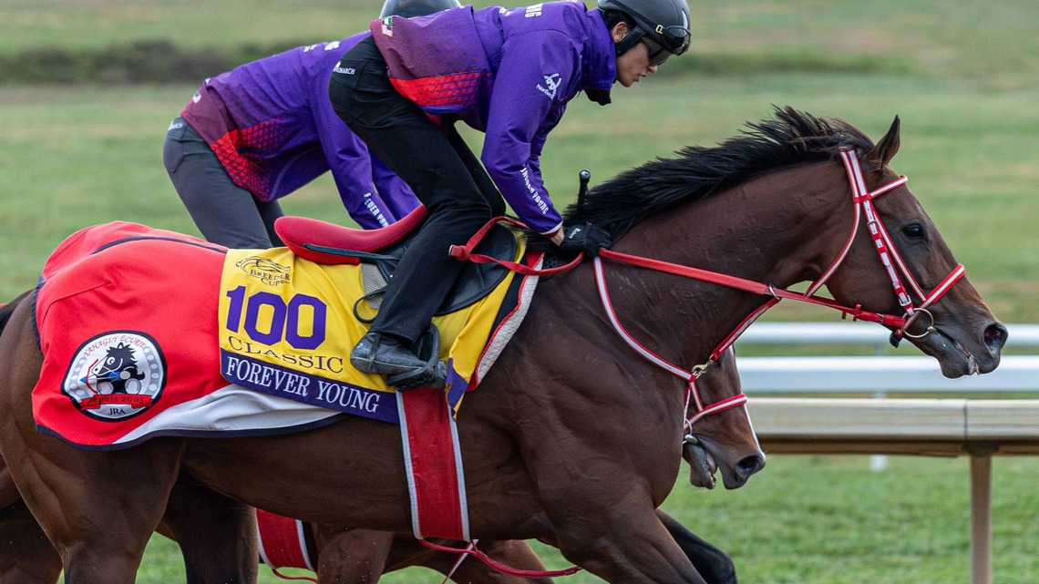 Breeders' Cup Classic Contender Forever Young Has 'Perfect' Final Work 