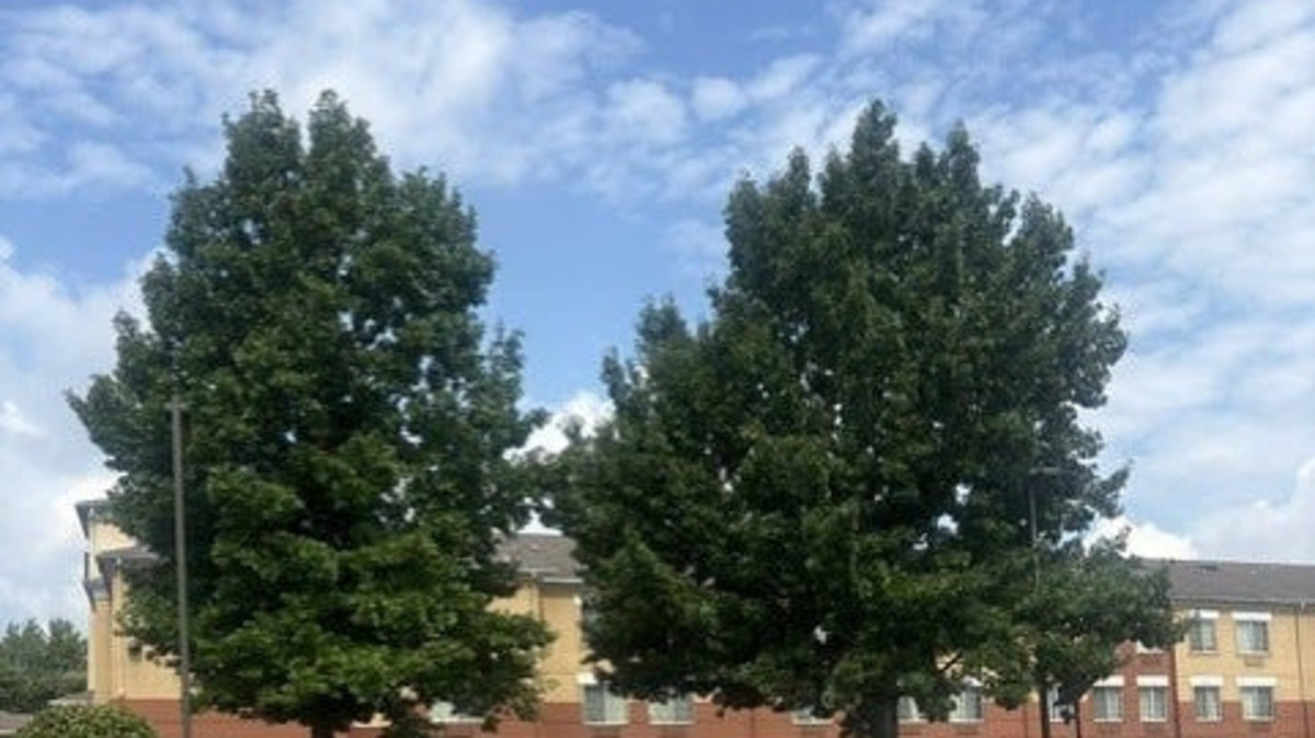 Law enforcement vehicles can be seen outside the Extended Stay America hotel in east Memphis on July 8, 2026.