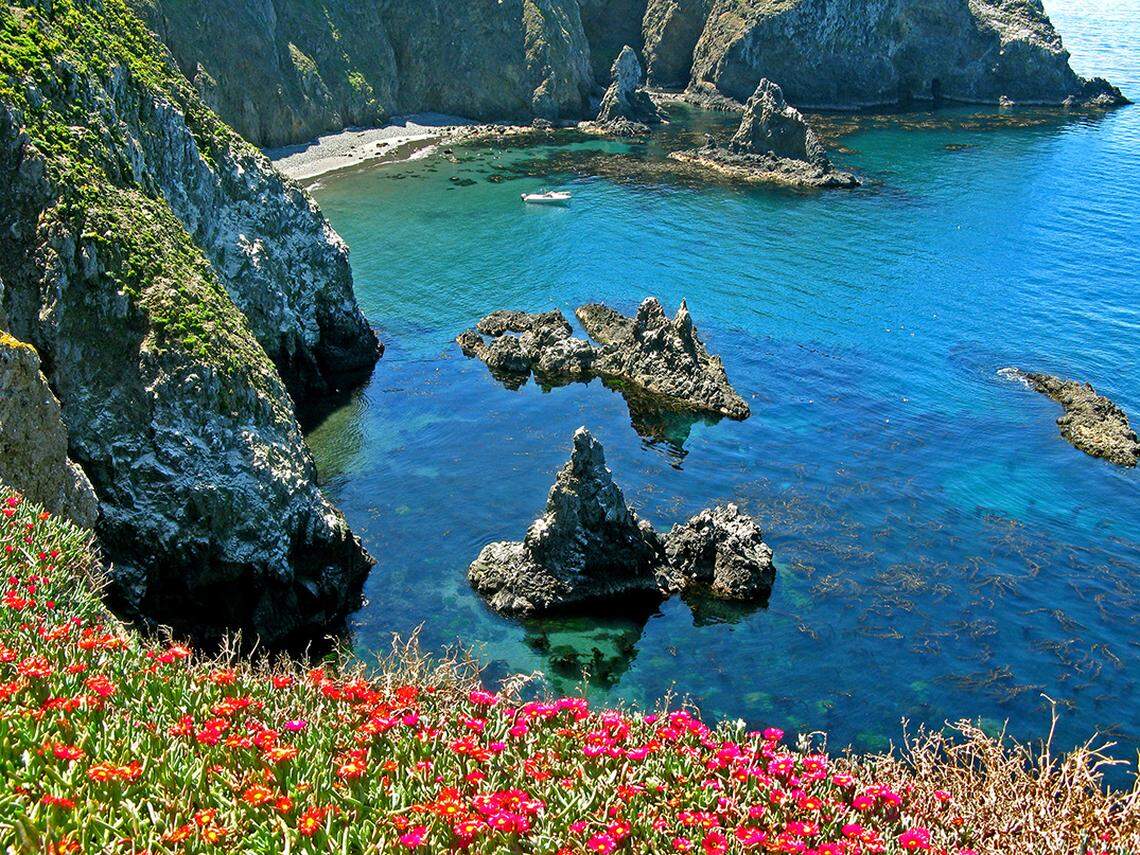 Anacapa cove on Anacapa Island, in Channel Islands National Park, California.