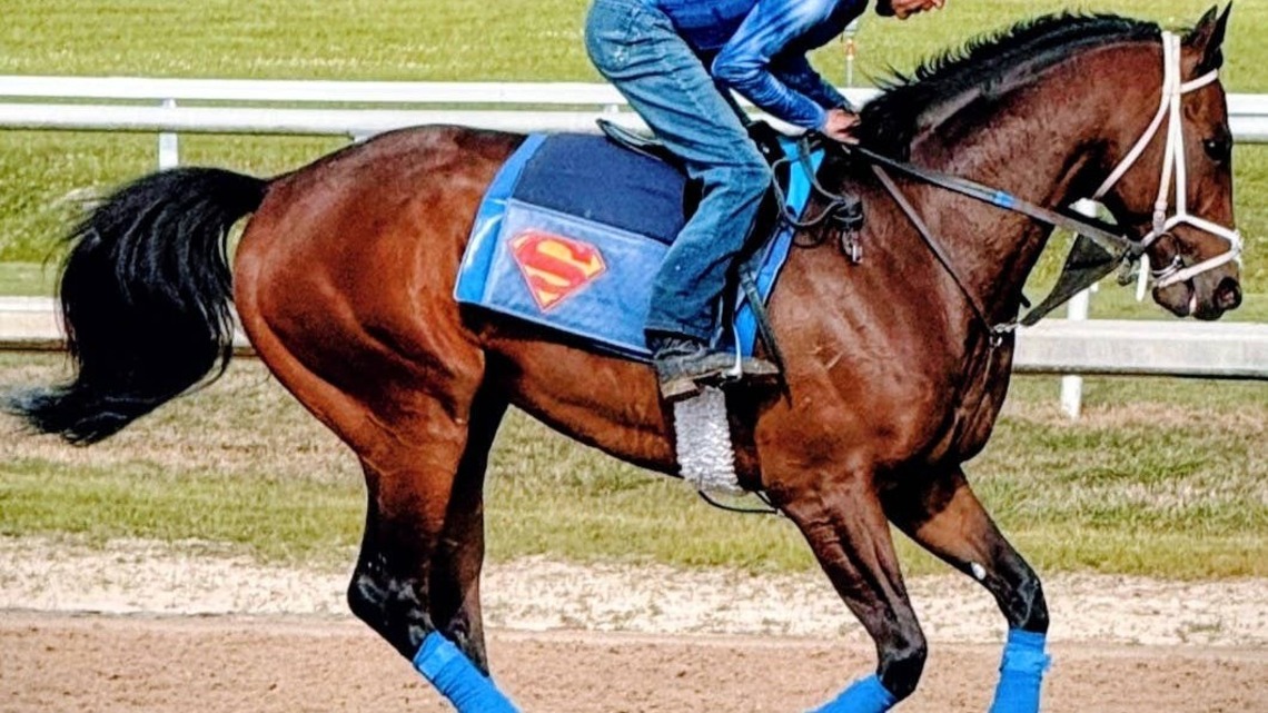 ‘He's Already Got Heart': Enlighten Seeks Claiming Crown Berth At Colonial Downs 