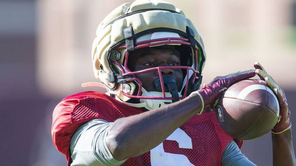FSU Football Fall Camp Preview: Tight End