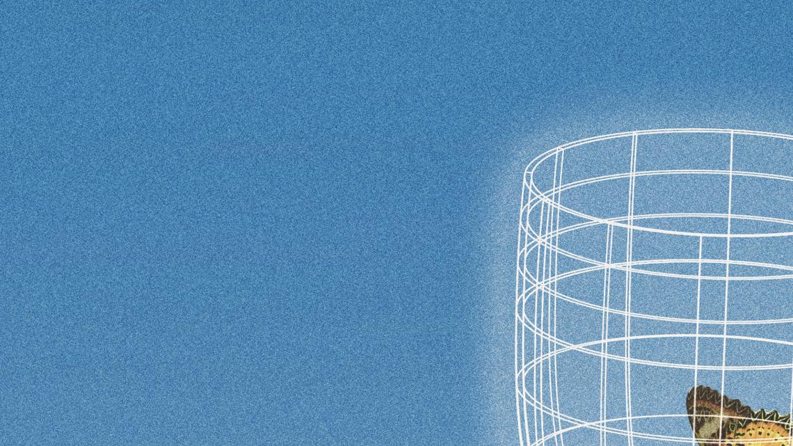 AI is coming for the sommeliers