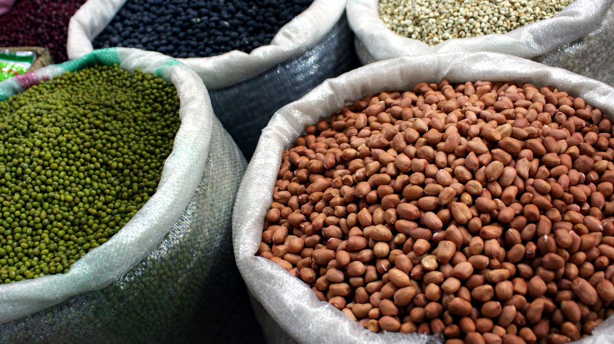 By 2020, Steve Sando’s Bean Club had amassed 11,000 members. Five years later, that number tripled to more than 30,000, with a growing waitlist of more than 36,000 people. (Dreamstime/TNS)