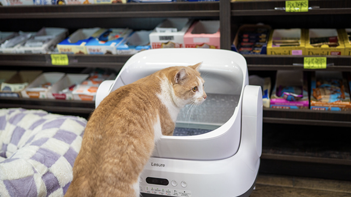 Lesure's New Smart Litter Box Is a Must-Have for Cat Parents Everywhere 