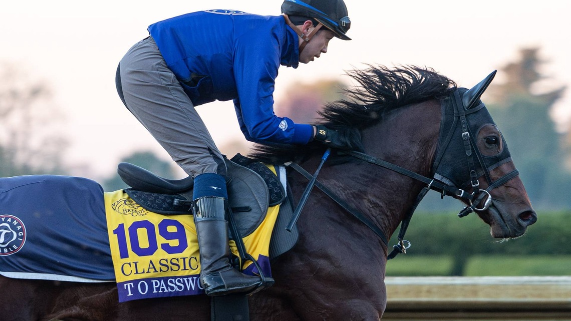 Breeders' Cup Notes: Kentucky Derby Alumn T O Password Back For The Classic 