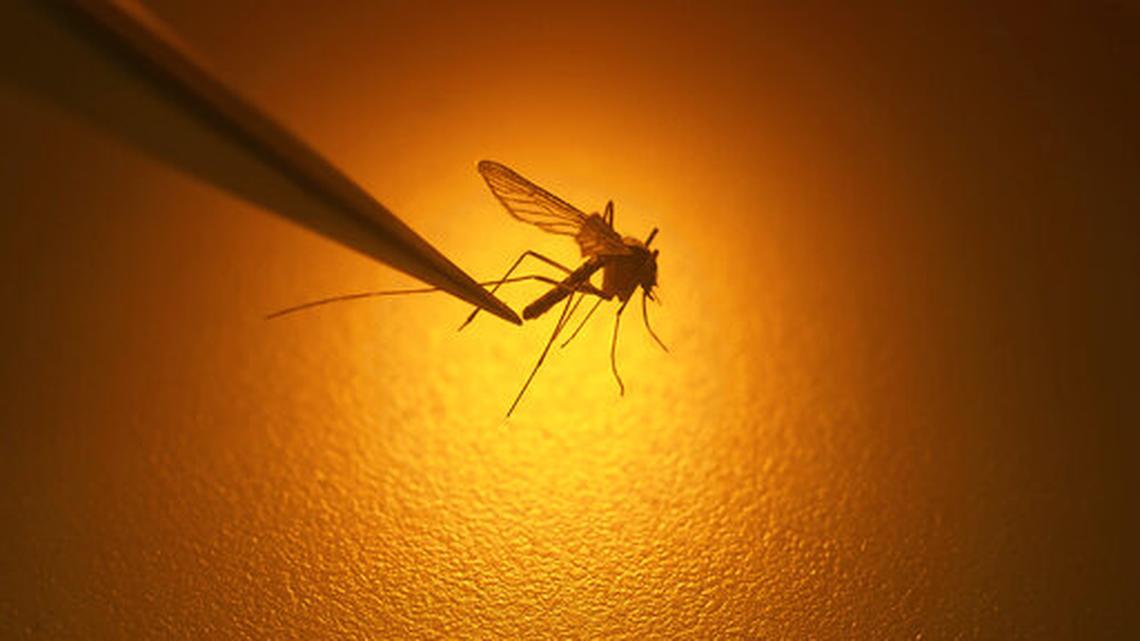 2 Tri-Citians sickened and hospitalized with West Nile virus