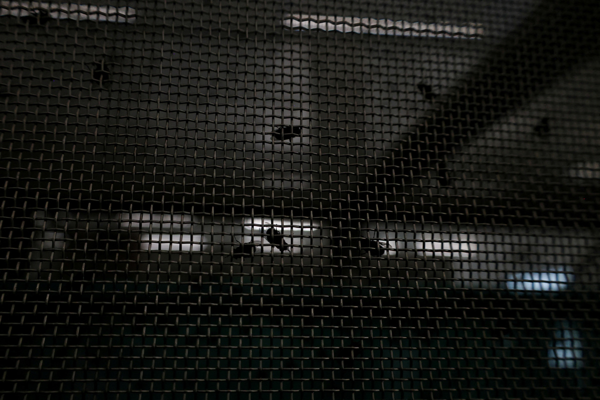 A view of a fly colony in its enclosure during a media tour following the opening of a sterile fly production plant, a key step to contain the cross-border spread of the New World screwworm and its impact on cattle trade, in Metapa de Dominguez, Chiapas, Mexico, June 27, 2026. REUTERS/Damian Sanchez