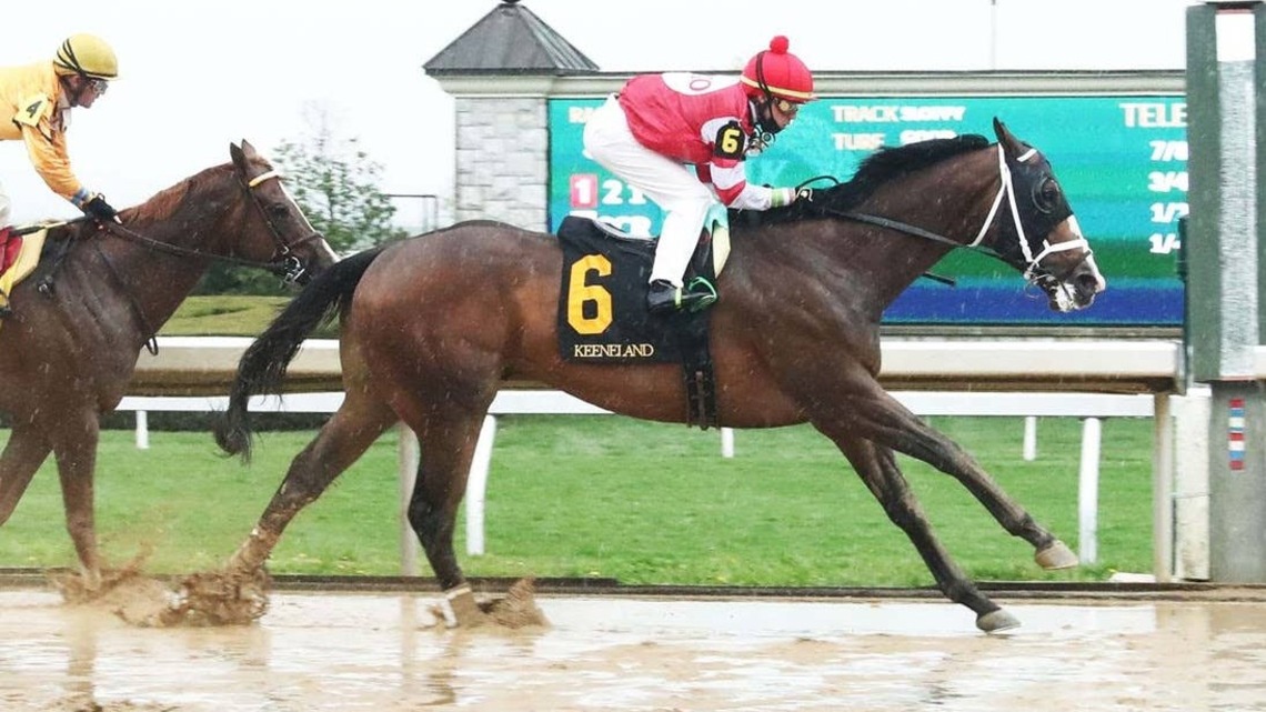 CANTER Michigan's Turnagain Tide Earns 2026 TAKE2 Jet Run Award 