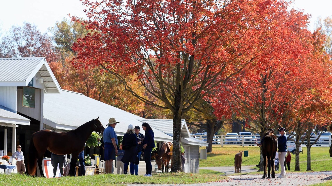 Keeneland Supplements Eight To Book 1 Of November Breeding Stock Sale 