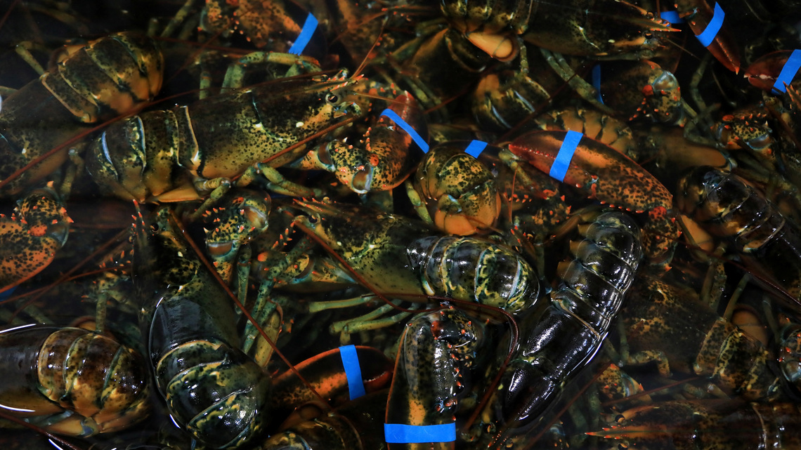 Canada excludes US seafood from retaliatory tariffs 