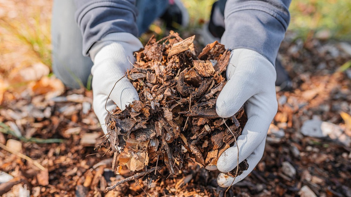 Professional Gardeners Explain How to Start a Compost Pile in Autumn: 6 Steps to Composting Success 