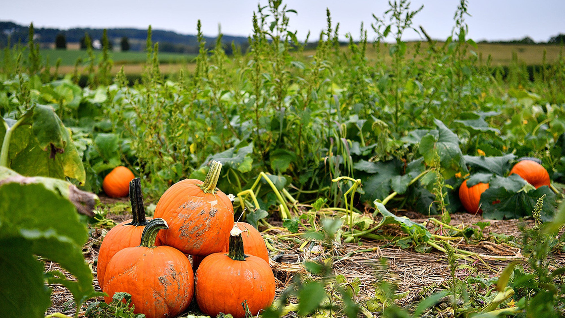 Best things to do in Alabama this fall. 10 can't-miss trips