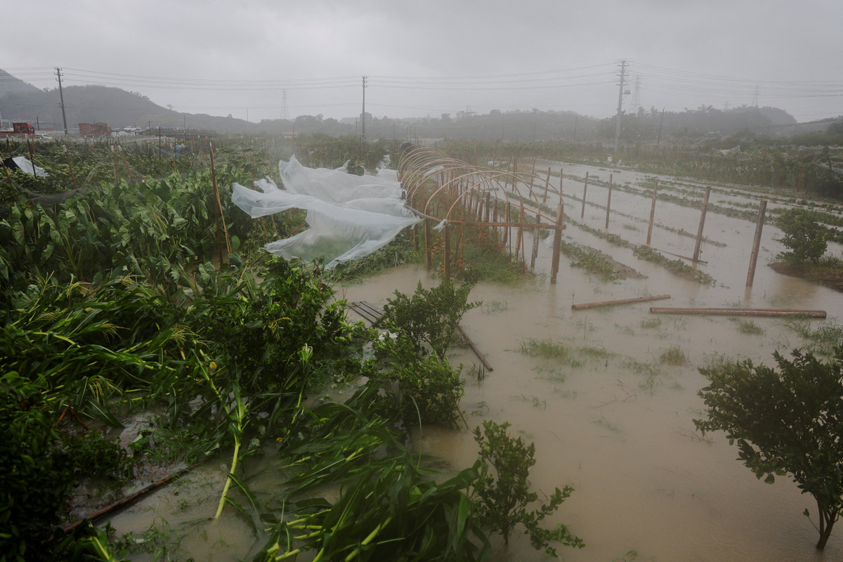 Farmland is flooded by heavy rain brought by Typhoon Bavi in Wenzhou, Zhejiang province, China, July 12, 2026. REUTERS/Go Nakamura