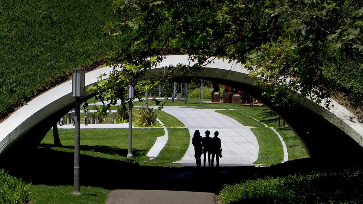 Researchers at the University of California, Irvine believe a new public health study they’re helping to run – the first of its size to focus solely on Asian Americans – will help unravel some mysterious and troubling new trends linking race and cancer. (Mark Boster/Los Angeles Times/TNS)