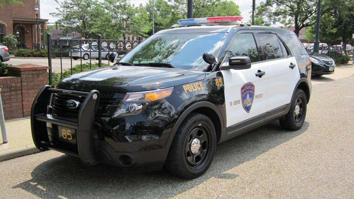 Canton man arrested after stabbing dog, police say