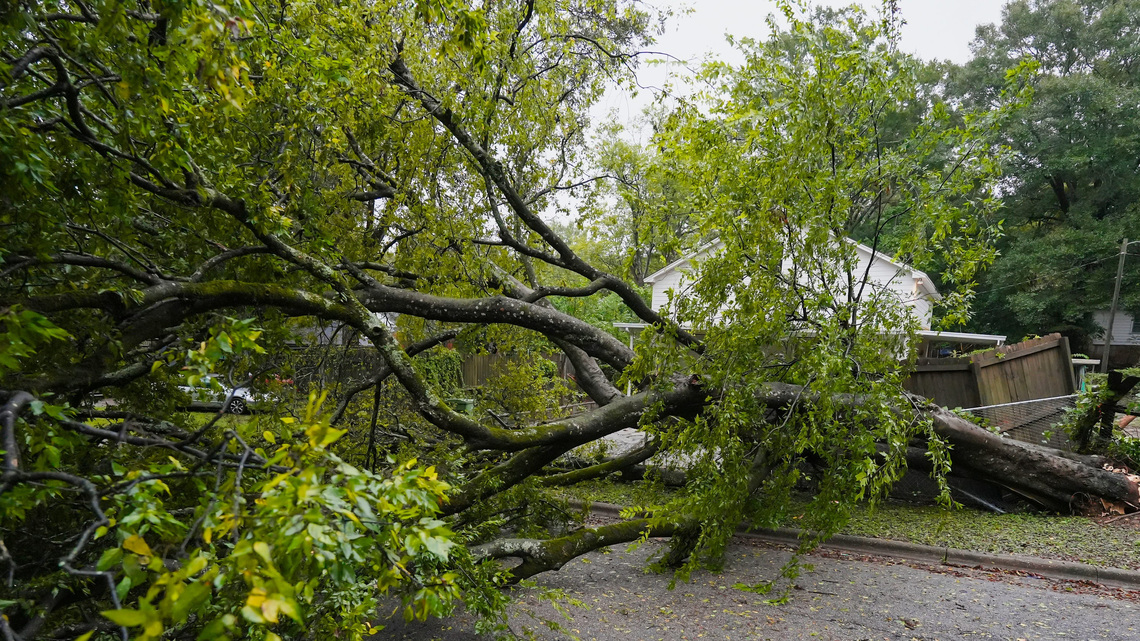 1 dead in Birmingham as Hurricane Isaias topples tree onto home 