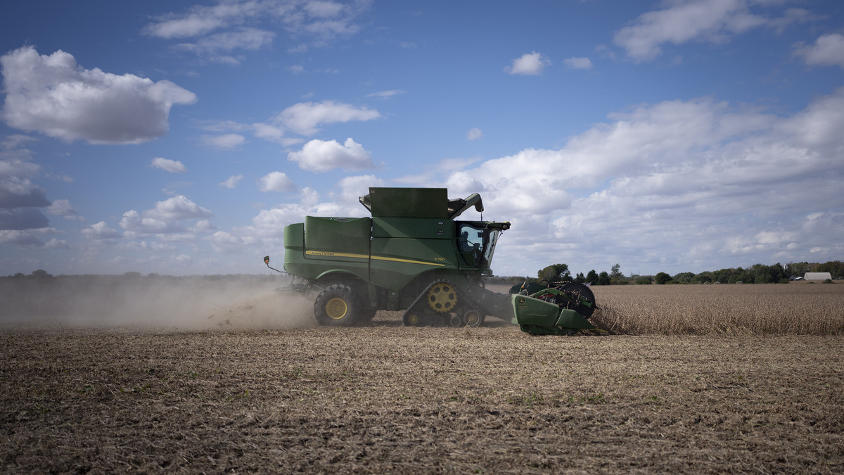 A combine harvests a soybean field that is part of the Fultz family farm in Tracy, Minnesota, on Tuesday, Oct. 7, 2025. (Renée Jones Schneider/The Minnesota Star Tribune/TNS)