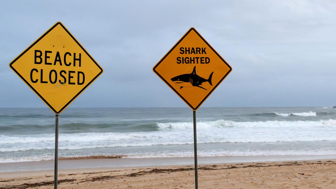 Man dies after shark attack on Australian coast
