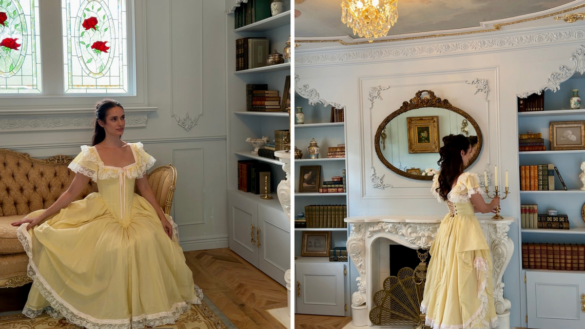 Woman Turns Spare Room Into Dream Disney Library, Not Ready for Result 