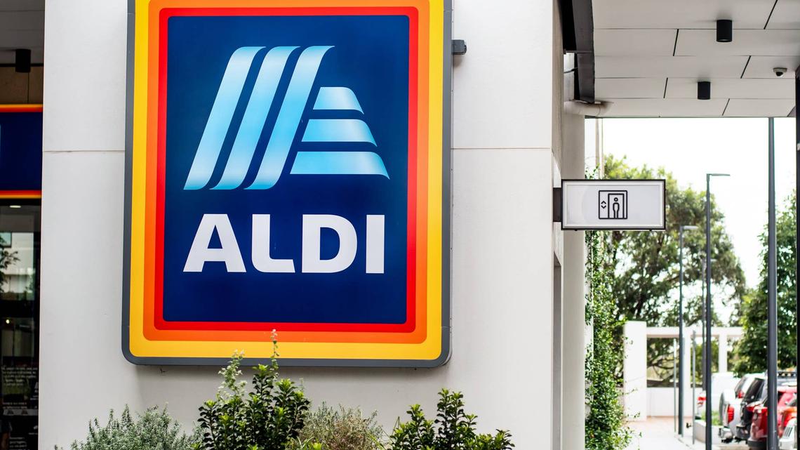 Belavi Bird Feeder Assortment - Bench.