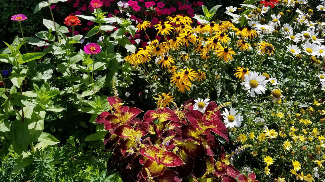 Time in a Garden: Community is everything | Opinion