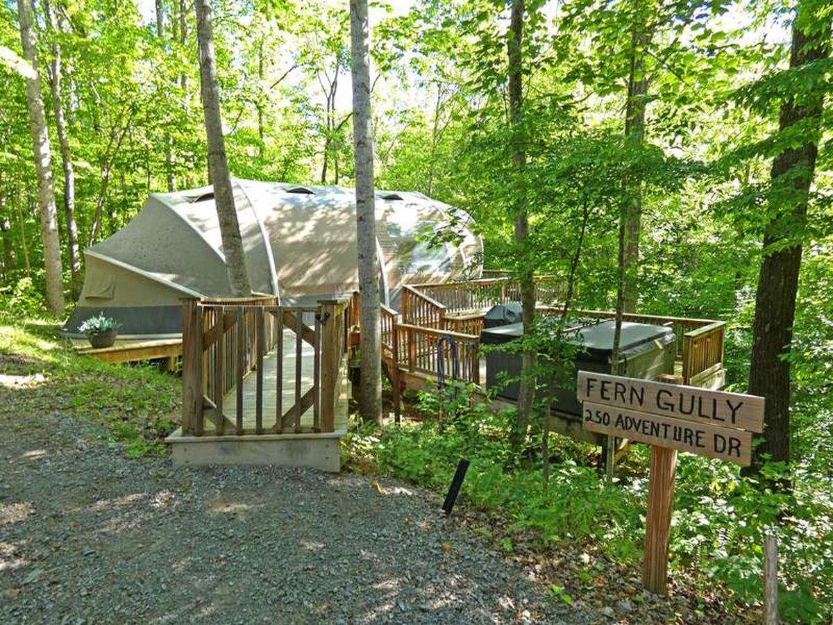  Fern Gully, a beautiful tree tent was my home away from home. Photo credit: Kathleen Walls 