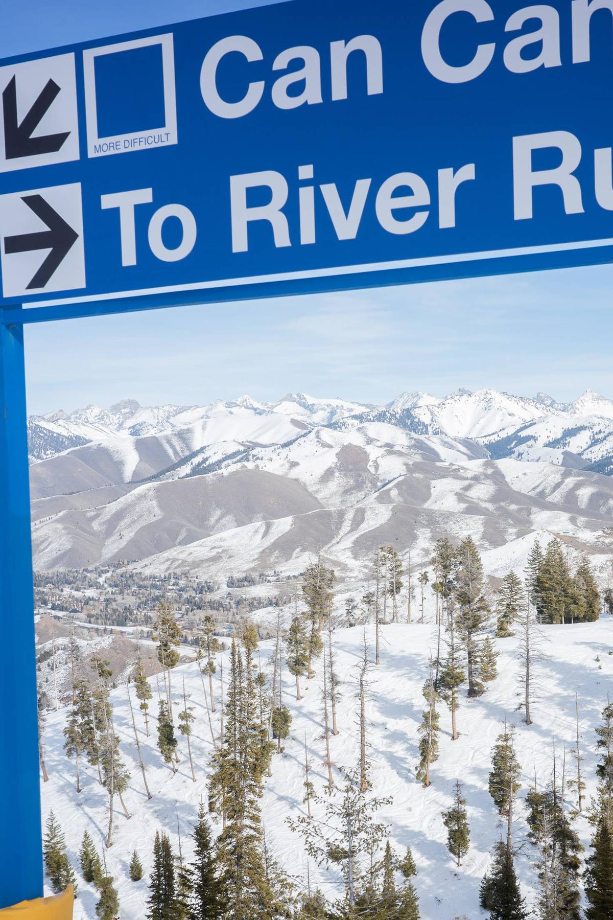  A few happy trees. And more than a few places to ski.