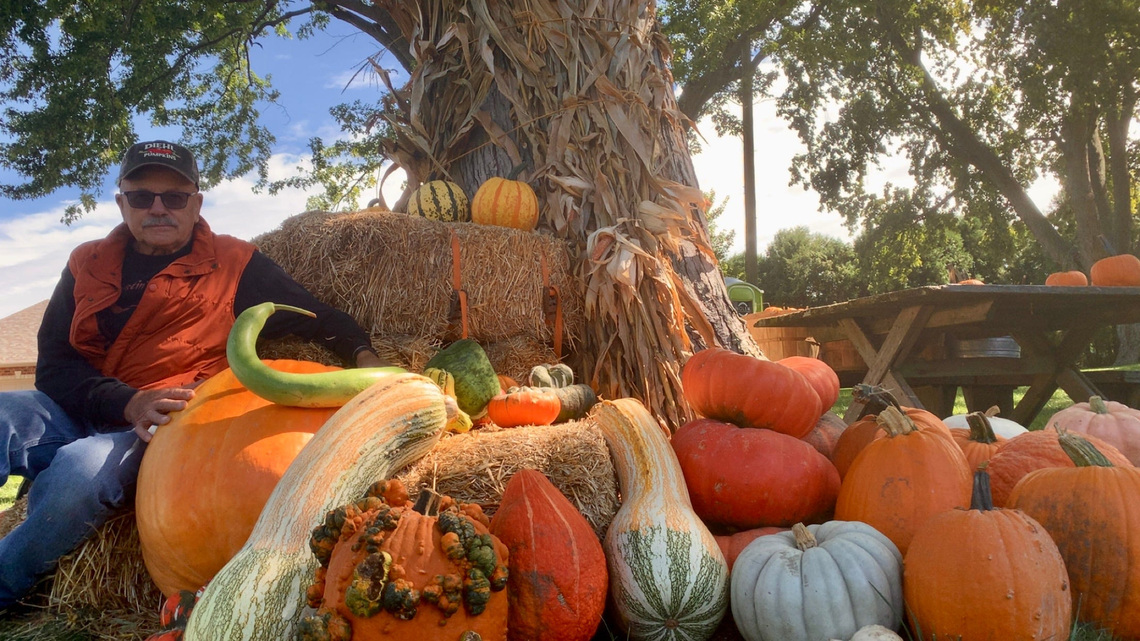 Expert gives tips for picking the perfect pumpkins 