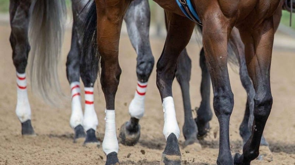 Gilligan Racing Moves Forward With Plan For New Track In Florida 