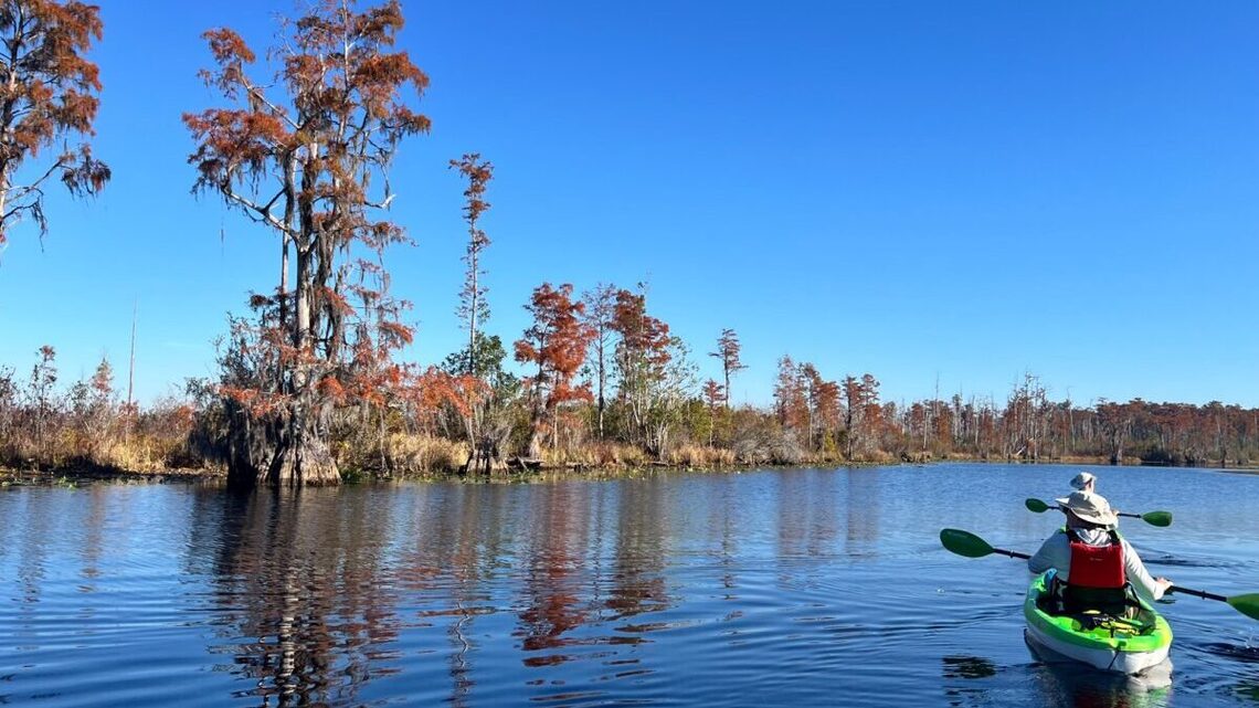 Camp, hike or paddle your way through this wild Georgia wonderland