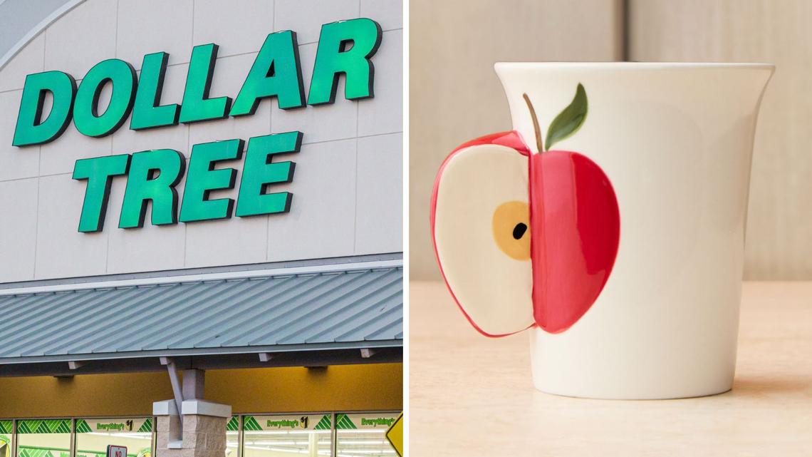 West Elm Emma Chamberlain Dupes At Dollar Tree For $1.50