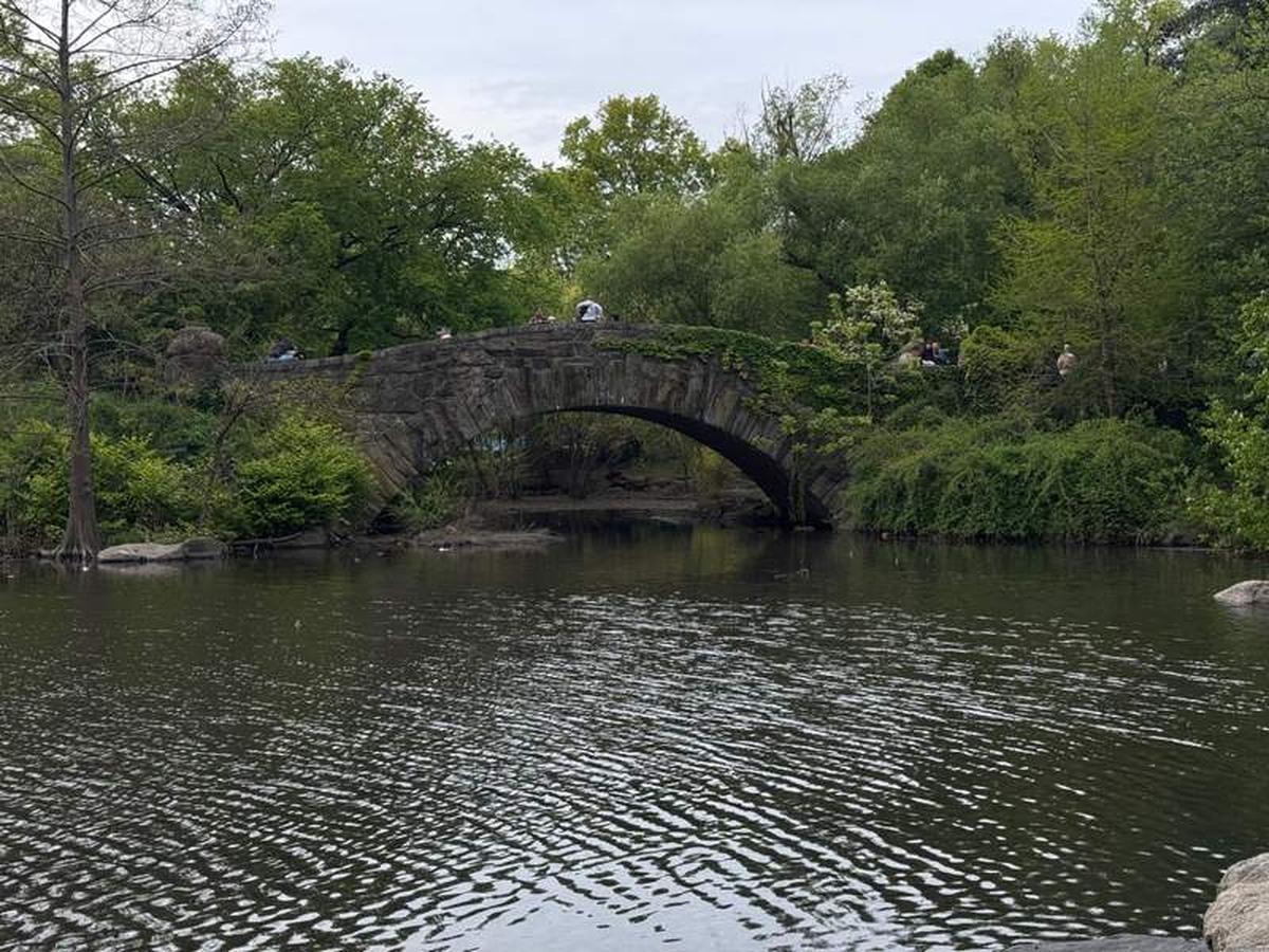  Rising above a nature sanctuary, the Gapstow Bridge is a must for selfie fans in Central Park. Photo credit: R.C. Staab 