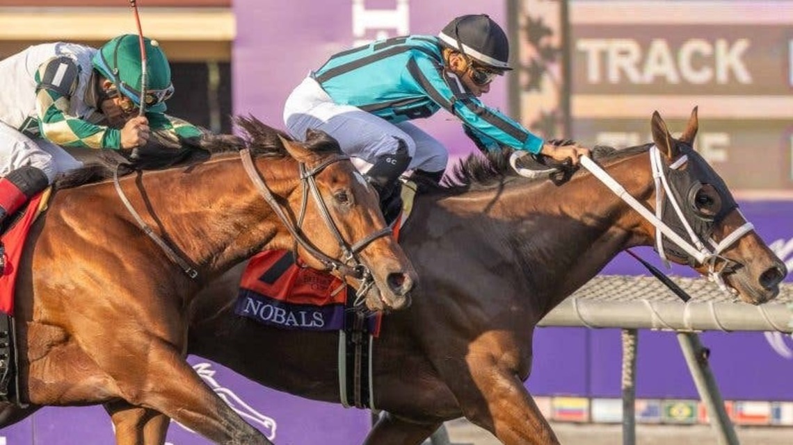 Woodford Contender Nobals Returns To Keeneland With Breeders' Cup In Mind 