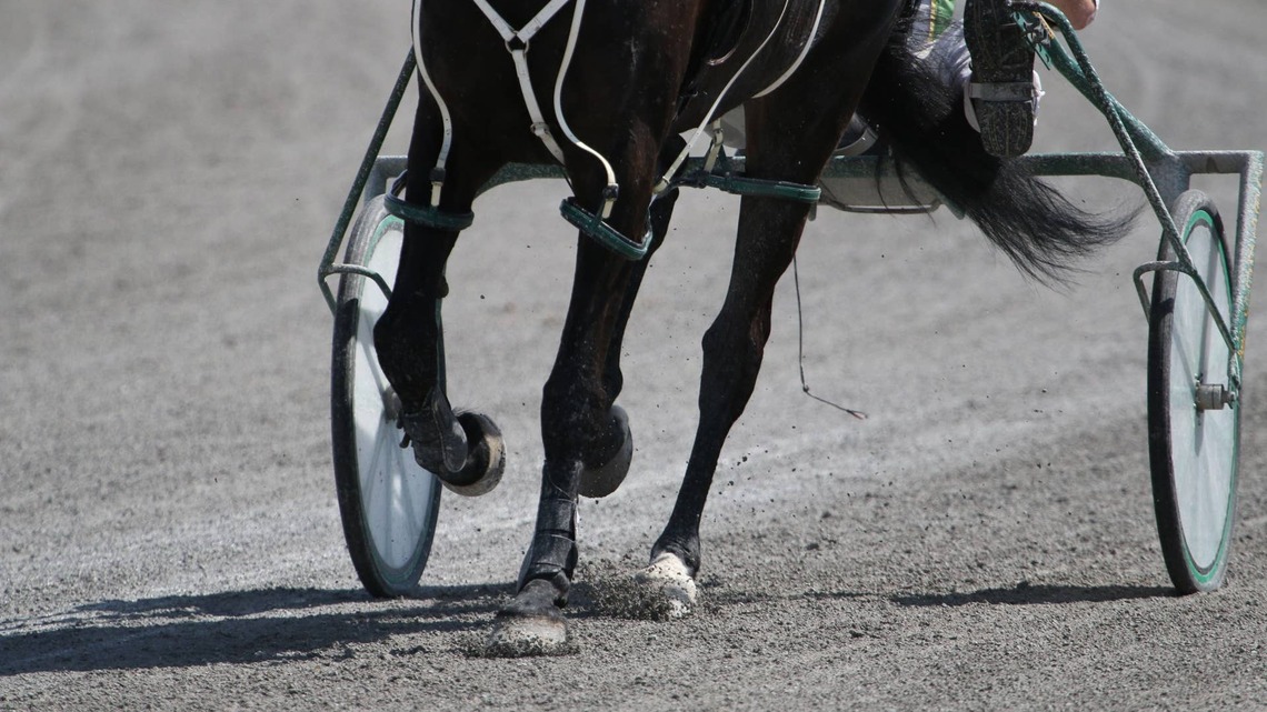 Harness Driver Scott Knight Dies In Spill At Desert Park Raceway 